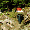 02 081 Hikers on the Perry Ck trail Don B and Paul B