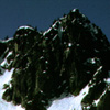 03 006 Glacier Lake shelter below Surprise Mtn (149k)