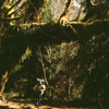 03 011 Shawn C along Queets River in Olympic rainforest (303k)