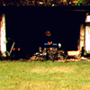 06 079 Skokomish River shelter in Olympic National Park (sizek)