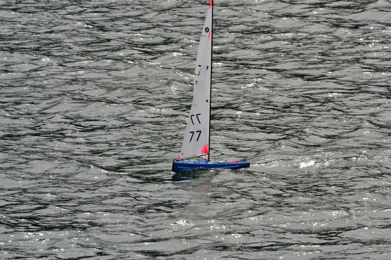DSC_0029